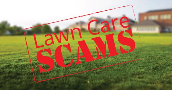 Pure-Green-Lawn-Care-Scams-2.jpg