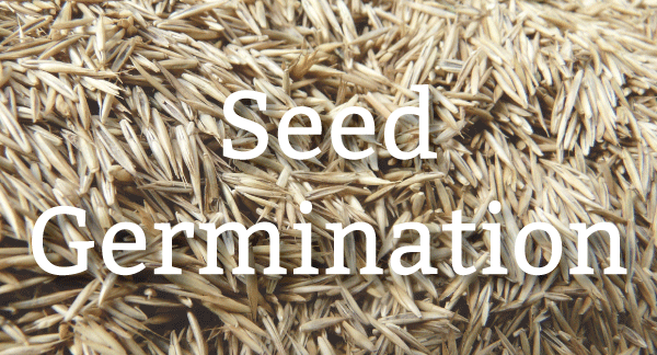 Pure-Green-blog-header_seed-germination.png
