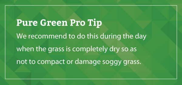 grass tip