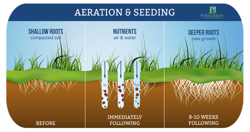 Pure Green Franklin Aeration Specialists