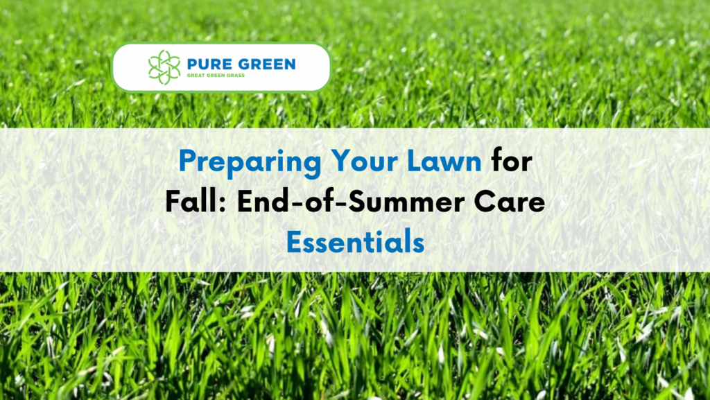 Fall Lawn Revival Prepare Your Yard for Winter Nashville Lawn Care