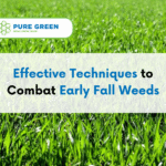 Fall Aeration and Seeding: Why It Matters for Spring