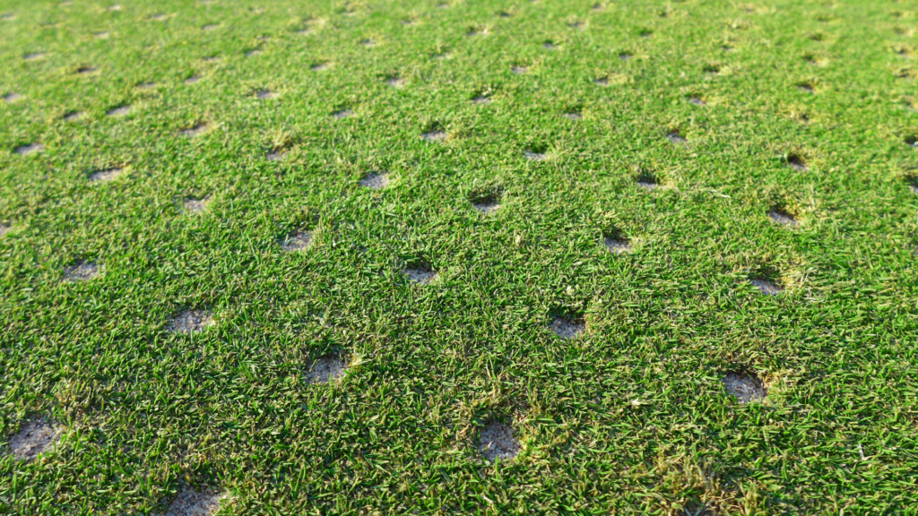 Close-up of aeration holes on a well-maintained lawn