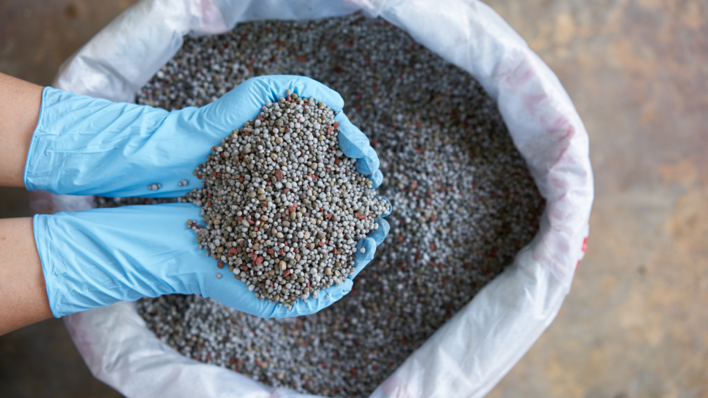 A gardener holding a handful of granular fertilizer