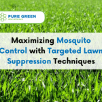 Maximizing Mosquito Control with Targeted Lawn Suppression Techniques