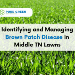 Identifying and Managing Brown Patch Disease in Middle TN Lawns